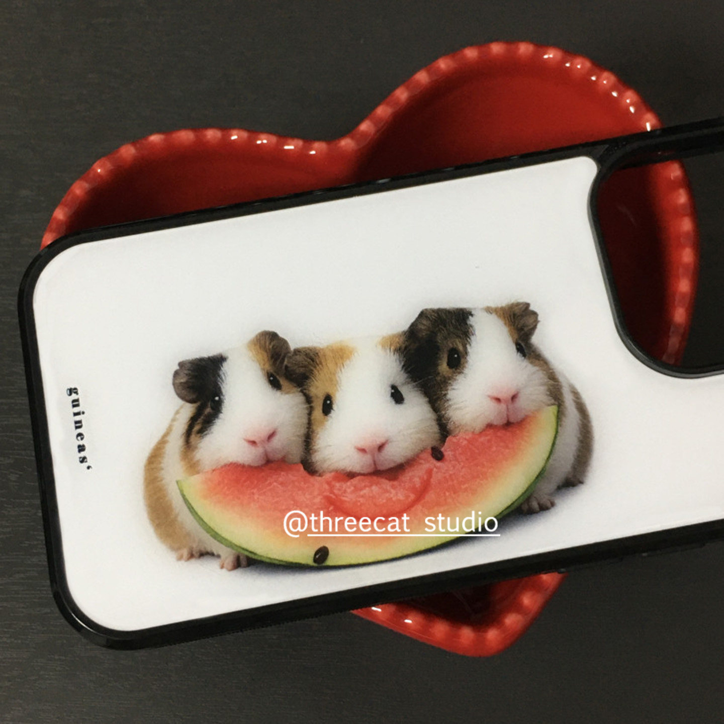 Casing HP Korea Ins Guinea Pig - Phone Accessories Iphone ulasan dan harga